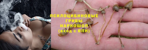 бошки Медногорск